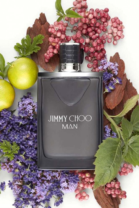 Parfem Jimmy Choo Man EDT 50mlIVET.RS - Nova Kolekcija