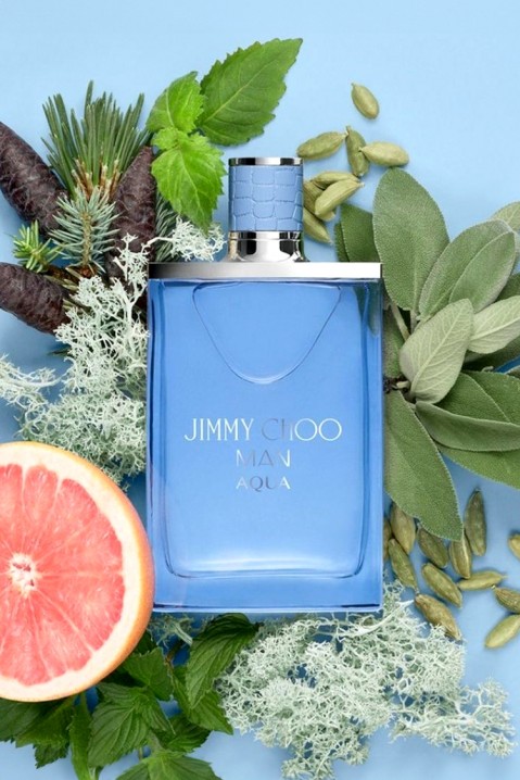 Parfem Jimmy Choo Man Aqua EDT 50mlIVET.RS - Nova Kolekcija