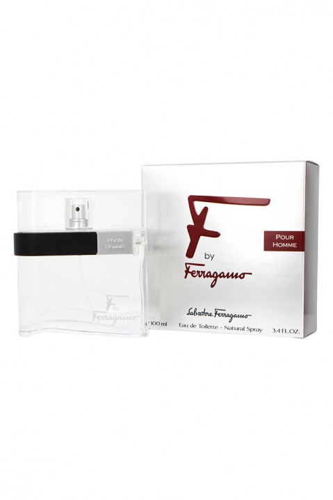 Parfem Salvatore Ferragamo F By Ferragamo Pour Homme EDT 100mlIVET.RS - Nova Kolekcija