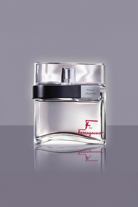 Parfem Salvatore Ferragamo F By Ferragamo Pour Homme EDT 100mlIVET.RS - Nova Kolekcija