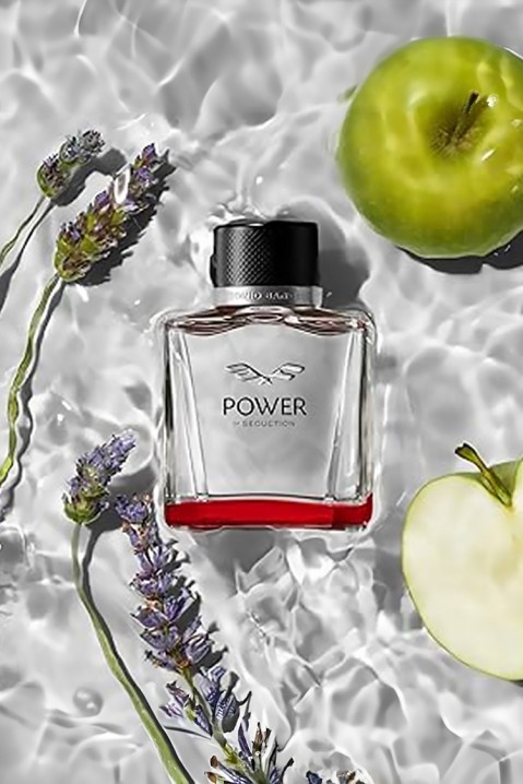 Parfem Antonio Banderas Power Of Seduction EDT 100mlIVET.RS - Nova Kolekcija