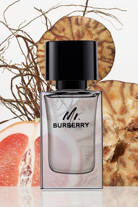 Parfem Burberry Mr. Burberry EDT 50 mlIVET.RS - Nova Kolekcija