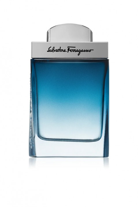 Parfem Salvatore Ferragamo Subtil Pour Homme EDT 100 mlIVET.RS - Nova Kolekcija