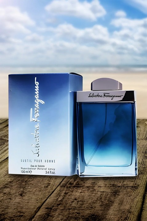 Parfem Salvatore Ferragamo Subtil Pour Homme EDT 100 mlIVET.RS - Nova Kolekcija