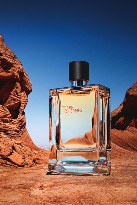 Parfem Hermes Terre D`Hermes EDT 100 mlIVET.RS - Nova Kolekcija