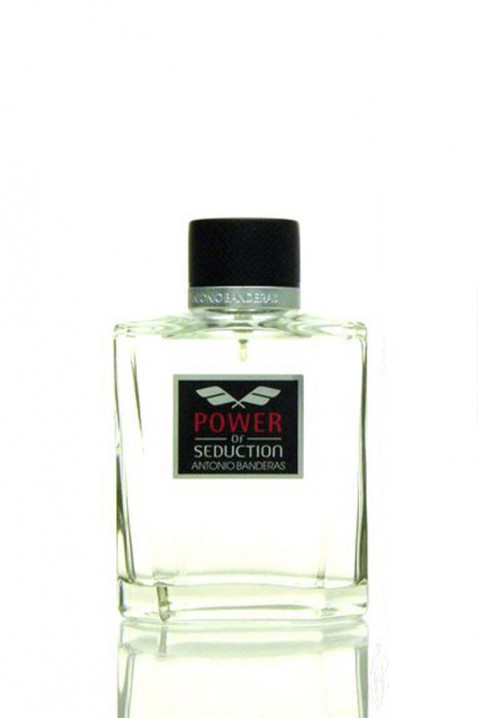 Parfem Antonio Banderas Power Of Seduction EDT 200 mlIVET.RS - Nova Kolekcija