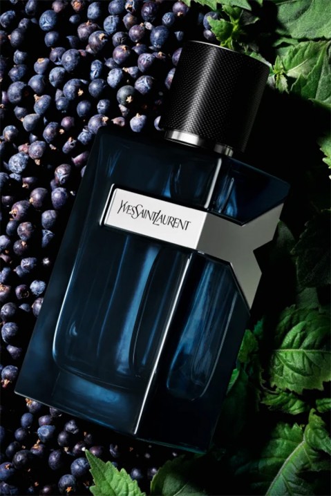 Parfem Yves Saint Laurent Y Intense EDP 60 mlIVET.RS - Nova Kolekcija