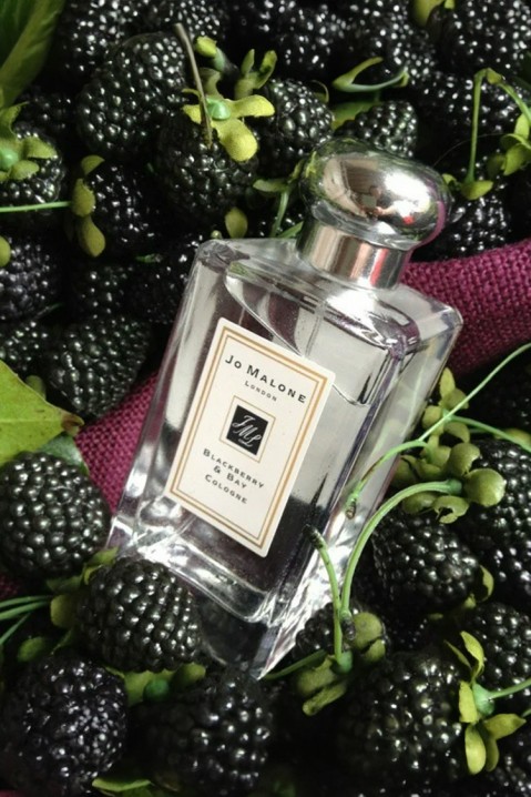 Parfem Jo Malone Blackberry & Bay EDC 100 mlIVET.RS - Nova Kolekcija