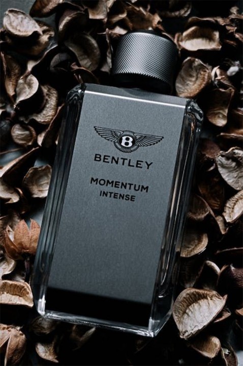 Parfem Bentley Momentum Intense EDP 100 mlIVET.RS - Nova Kolekcija