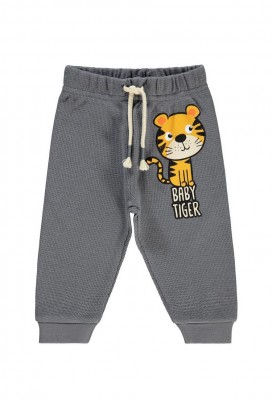 pantalone za bebe TIGORDI GREY